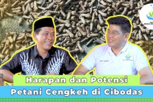 Harapan dan Potensi Petani Cengkeh di Cibodas