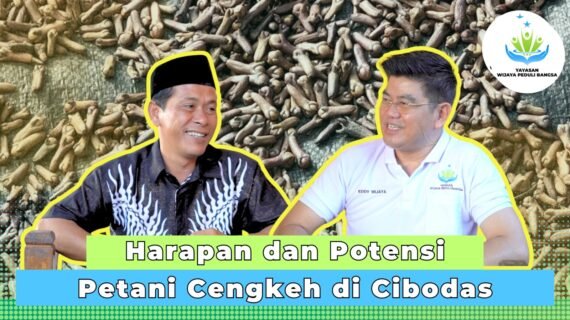 Harapan dan Potensi Petani Cengkeh di Cibodas